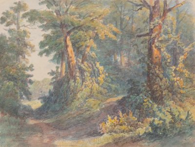 Waldlandschaft von Friedrich Carl von Scheidlin